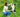 Top 3 snacks frescos para perros