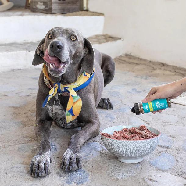 Alimento – MuttMx