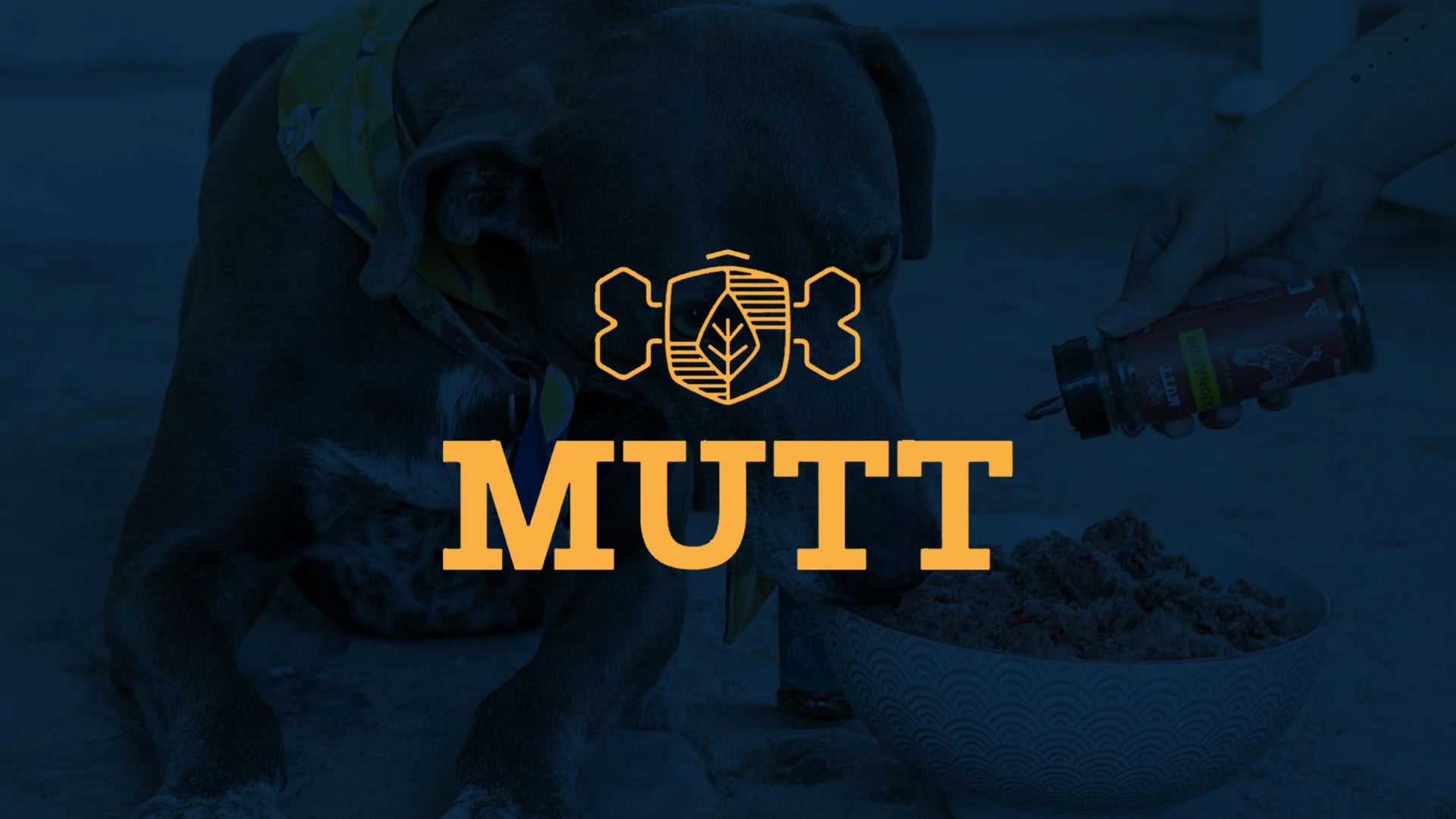 Mexican Mut PERSONAJES QUE MARCARON HISTORIA – MuttMx